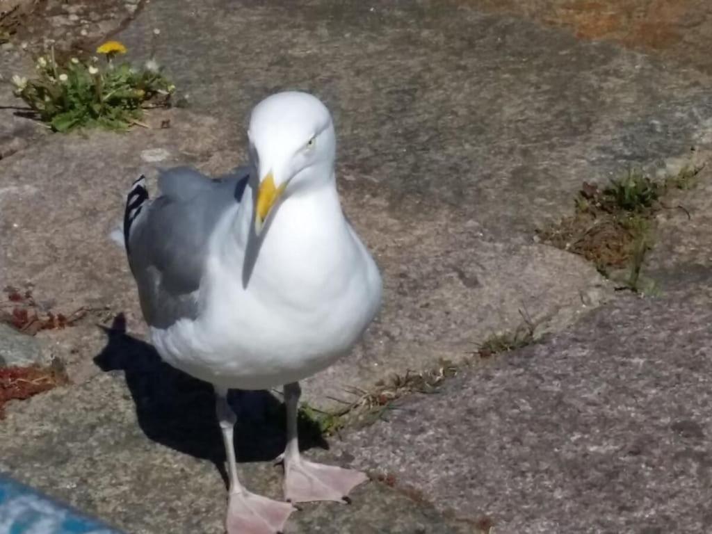 Ferienhaus At The Park 1 *